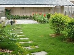 信譽(yù)好的屋頂綠化,提供專業(yè)的屋頂綠化-福州御景園環(huán)保科技提供信譽(yù)好的屋頂綠化,提供專業(yè)的屋頂綠化的相關(guān)介紹、產(chǎn)品、服務(wù)、圖片、價(jià)格庭院設(shè)計(jì)、福州植物墻、福州屋頂綠化、福州墻體美化裝飾、福州仿真植物墻、福州辦公綠化、