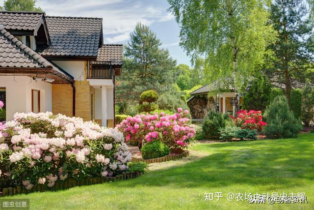 上海花園別墅 200坪院子 打造網紅庭院 告別喧囂