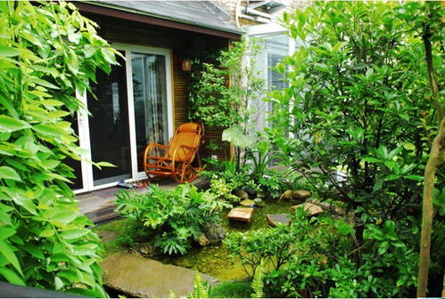 南京庭院設(shè)計(jì)中植物選擇的六大影響因素